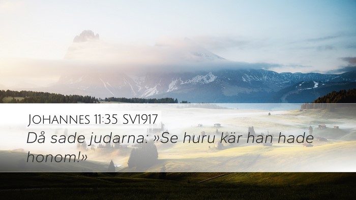 Johannes 11:35 SV1917 Bible Verse Image
