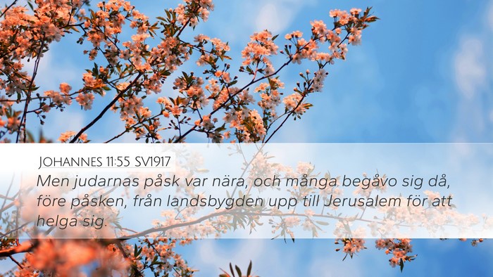 Johannes 11:55 SV1917 Bible Verse Image