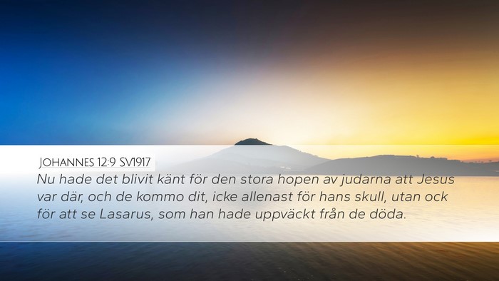 Johannes 12:9 SV1917 Bible Verse Image