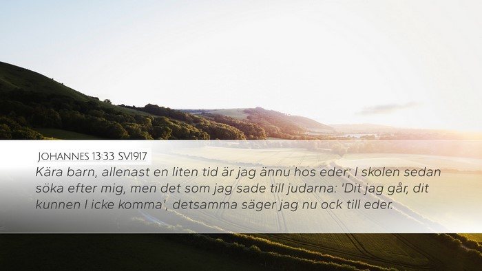 Johannes 13:33 SV1917 Bible Verse Image