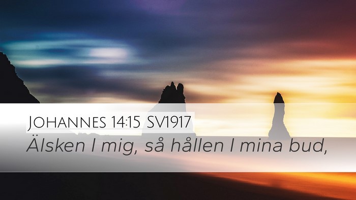 Johannes 14:15 SV1917 Bible Verse Image