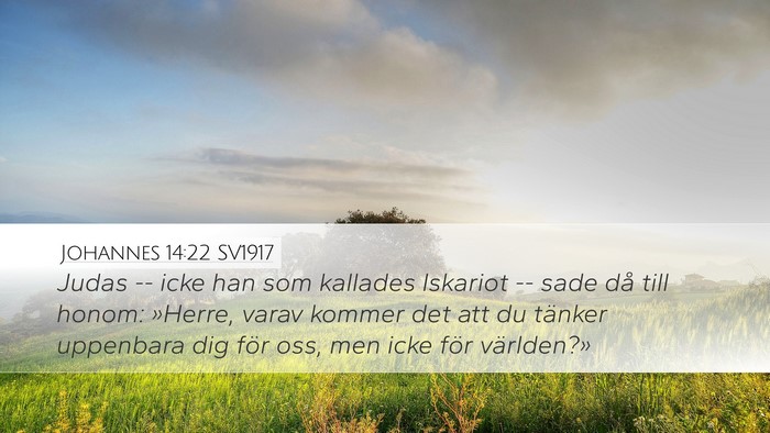 Johannes 14:22 SV1917 Bible Verse Image