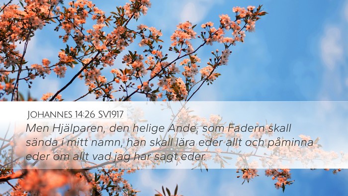 Johannes 14:26 SV1917 Bible Verse Image