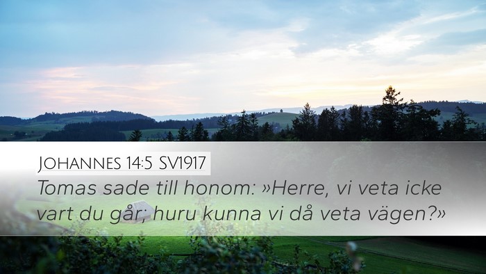 Johannes 14:5 SV1917 Bible Verse Image