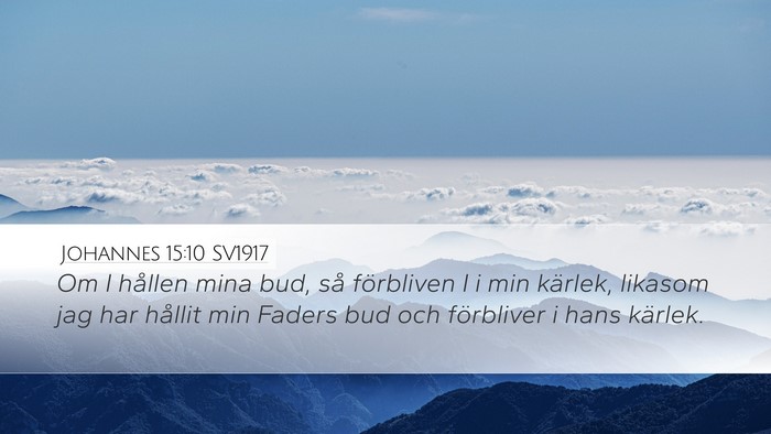 Johannes 15:10 SV1917 Bible Verse Image