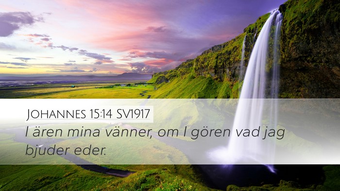 Johannes 15:14 SV1917 Bible Verse Image
