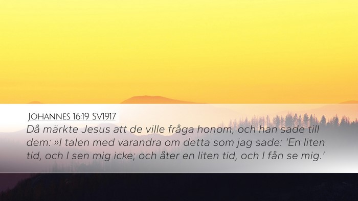 Johannes 16:19 SV1917 Bible Verse Image