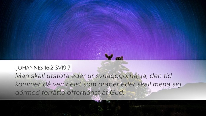 Johannes 16:2 SV1917 Bible Verse Image