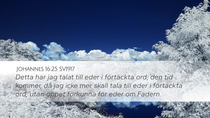 Johannes 16:25 SV1917 Bible Verse Image