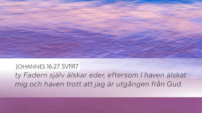 Johannes 16:27 SV1917 Bible Verse Image