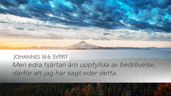 Johannes 16:6 SV1917 Bible Verse Image