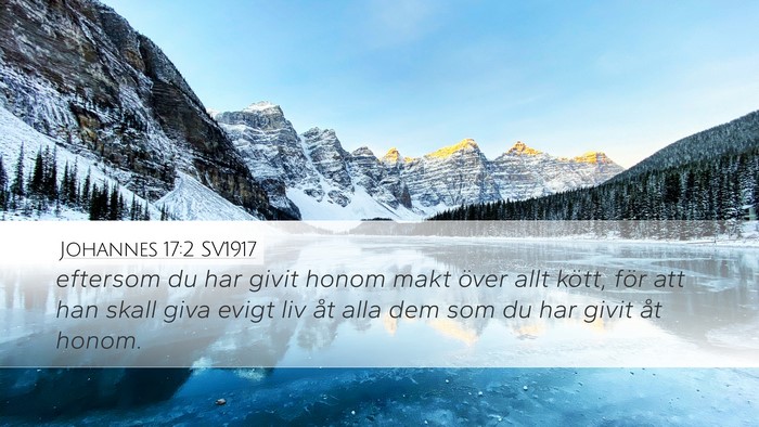 Johannes 17:2 SV1917 Bible Verse Image