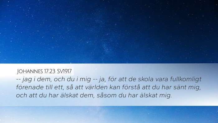Johannes 17:23 SV1917 Bible Verse Image