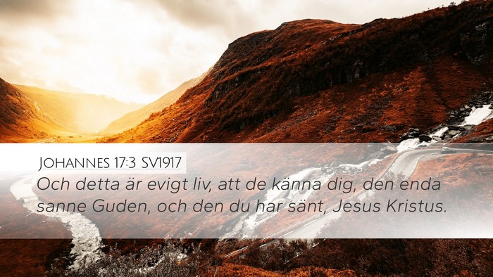 Johannes 17:3 SV1917 Bible Verse Image