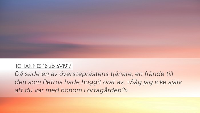 Johannes 18:26 SV1917 Bible Verse Image