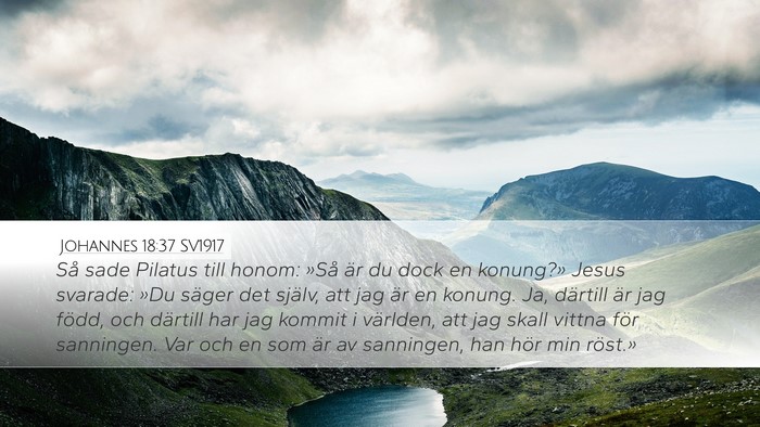 Johannes 18:37 SV1917 Bible Verse Image