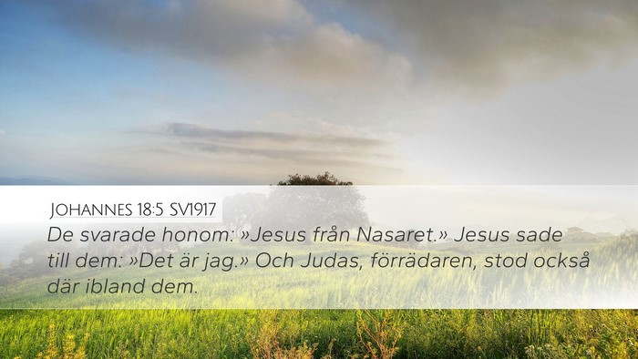 Johannes 18:5 SV1917 Bible Verse Image