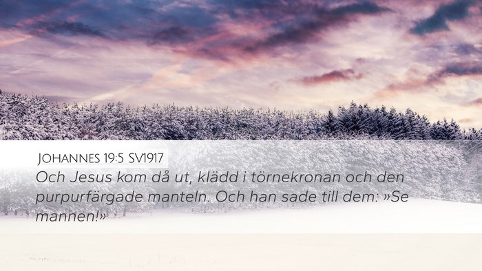 Johannes 19:5 SV1917 Bible Verse Image