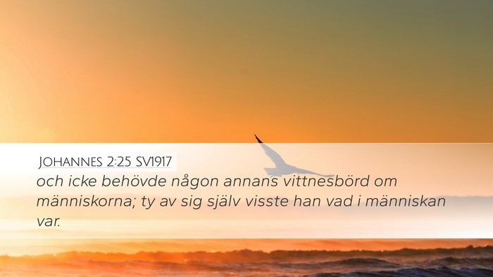 Johannes 2:25 SV1917 Bible Verse Image