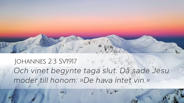 Johannes 2:3 SV1917 Bible Verse Image