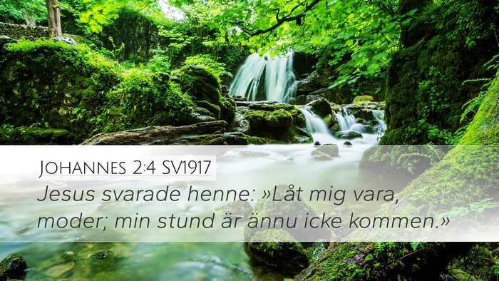 Johannes 2:4 SV1917 Bible Verse Image
