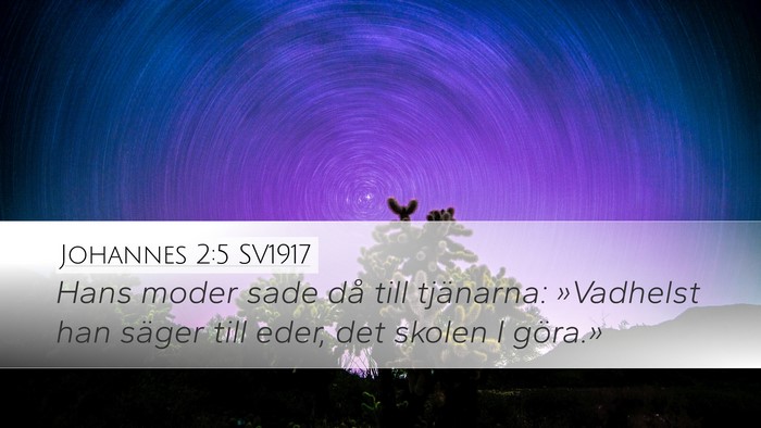 Johannes 2:5 SV1917 Bible Verse Image