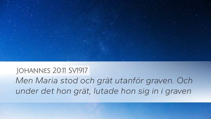Johannes 20:11 SV1917 Bible Verse Image