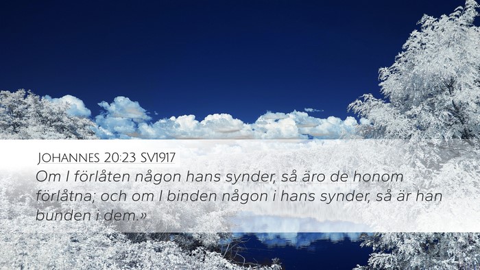 Johannes 20:23 SV1917 Bible Verse Image
