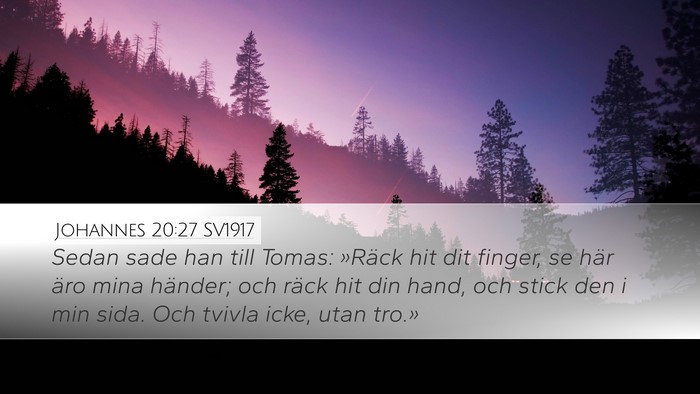 Johannes 20:27 SV1917 Bible Verse Image