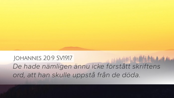 Johannes 20:9 SV1917 Bible Verse Image