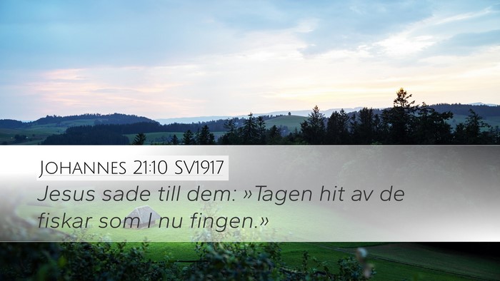 Johannes 21:10 SV1917 Desktop Wallpaper - Jesus sade till dem: »Tagen hit av de fiskar som - Desktop Bible Verse Wallpaper