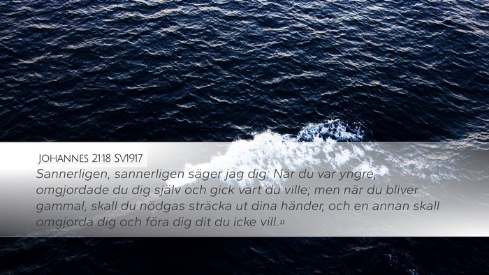 Johannes 21:18 SV1917 Bible Verse Image