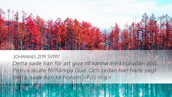 Johannes 21:19 SV1917 Bible Verse Image