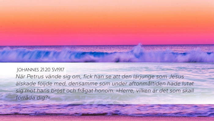 Johannes 21:20 SV1917 Bible Verse Image