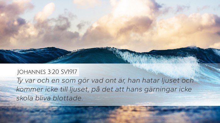 Johannes 3:20 SV1917 Bible Verse Image