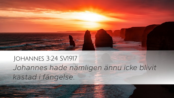 Johannes 3:24 SV1917 Bible Verse Image