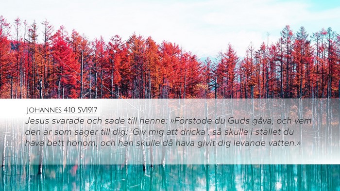 Johannes 4:10 SV1917 Bible Verse Image