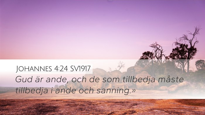Johannes 4:24 SV1917 Bible Verse Image