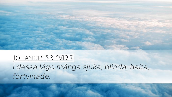 Johannes 5:3 SV1917 Bible Verse Image