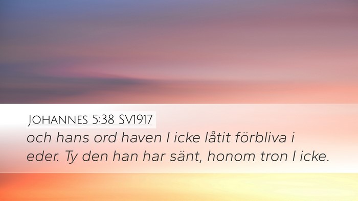 Johannes 5:38 SV1917 Bible Verse Image