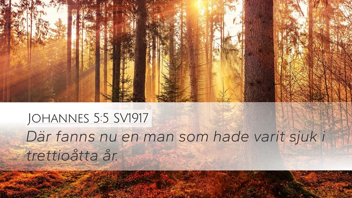 Johannes 5:5 SV1917 Bible Verse Image