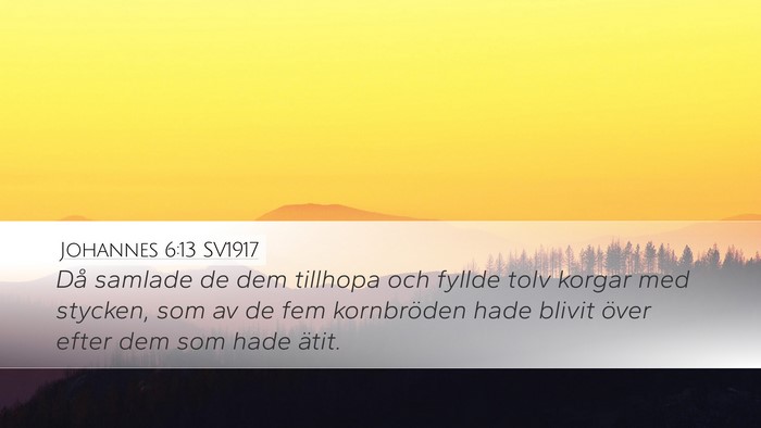 Johannes 6:13 SV1917 Bible Verse Image