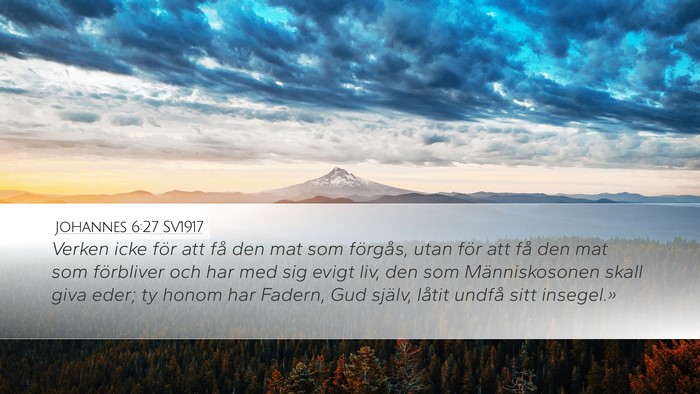 Johannes 6:27 SV1917 Bible Verse Image