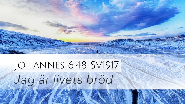 Johannes 6:48 SV1917 Bible Verse Image