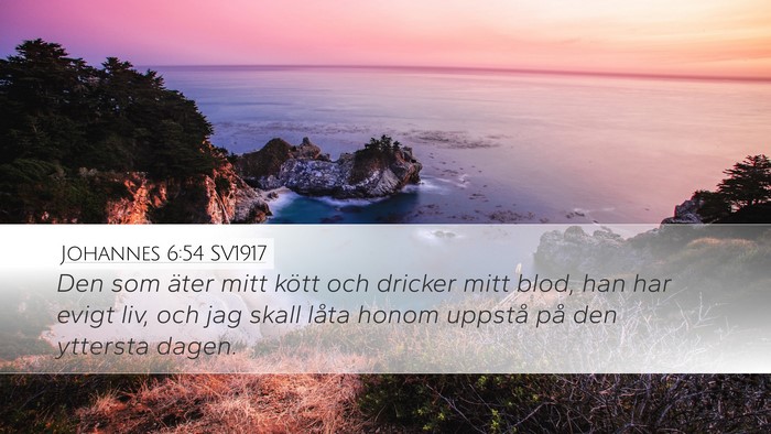 Johannes 6:54 SV1917 Desktop Wallpaper - Den som äter mitt kött och dricker mitt blod, - Desktop Bible Verse Wallpaper