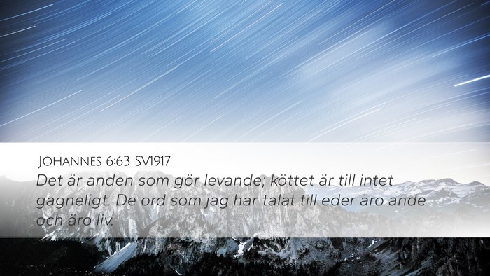Johannes 6:63 SV1917 Bible Verse Image