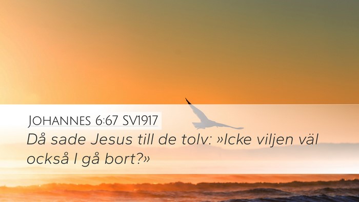 Johannes 6:67 SV1917 Bible Verse Image