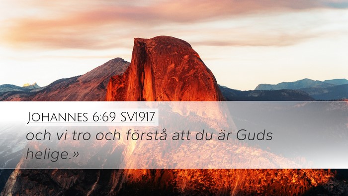 Johannes 6:69 SV1917 Bible Verse Image
