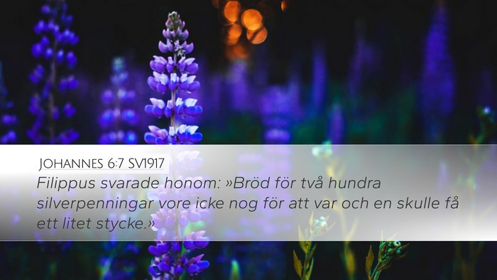 Johannes 6:7 SV1917 Bible Verse Image