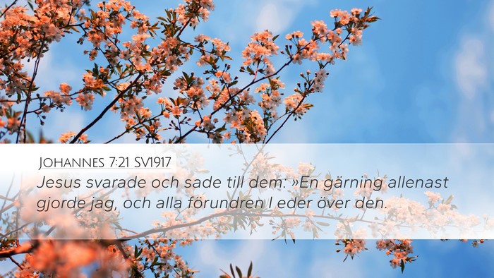 Johannes 7:21 SV1917 Bible Verse Image
